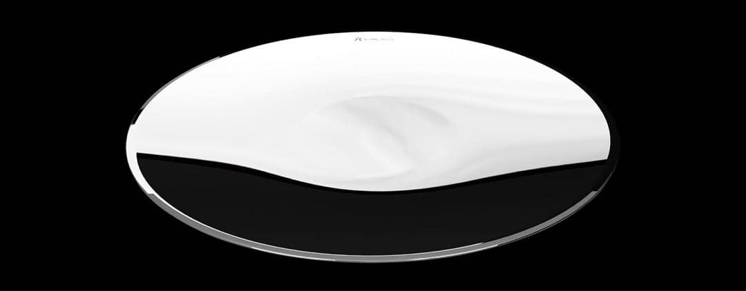 スノーピーク ミラープレート TW-111 鏡面仕上げ 26cm 廃盤品 複数可