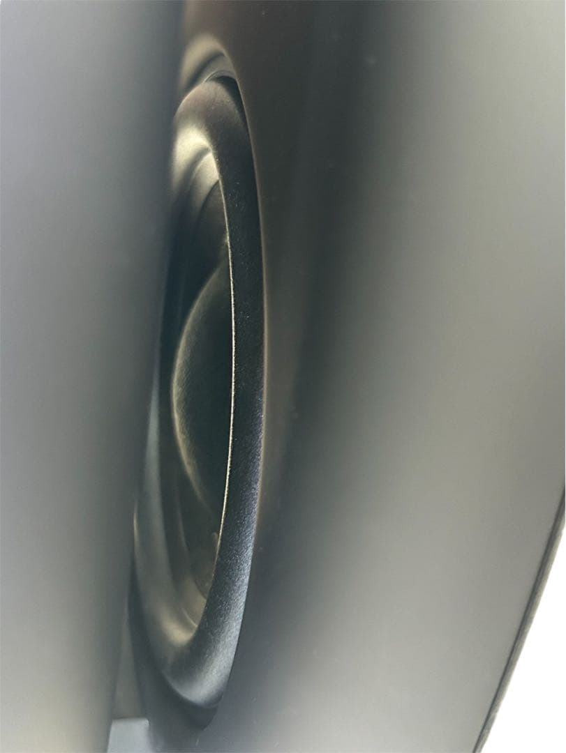 【稀少】BANG&OLUFSEN beolab 11 ウーファー