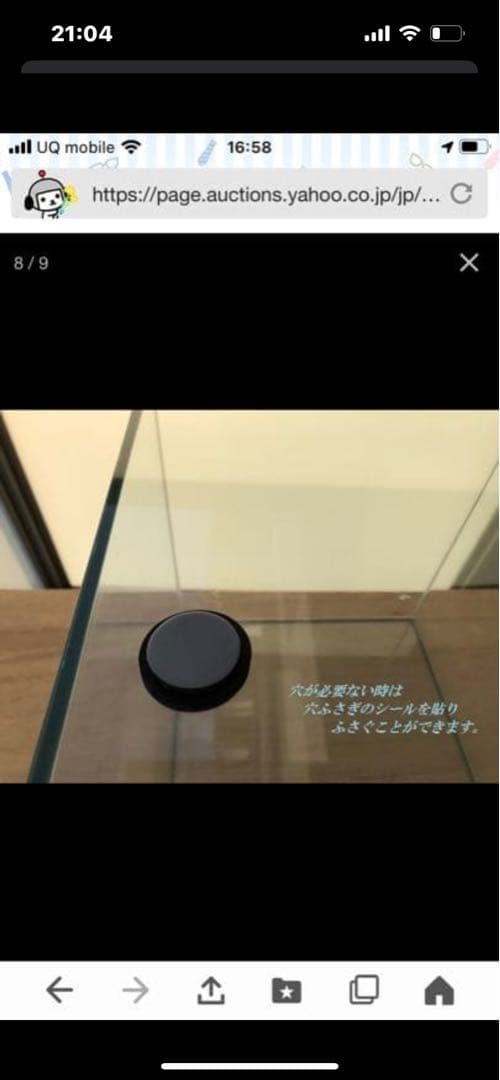 ★ガラスケージ★パルダリウム水槽30×30×30 ヤドクガエル・ビバリウム