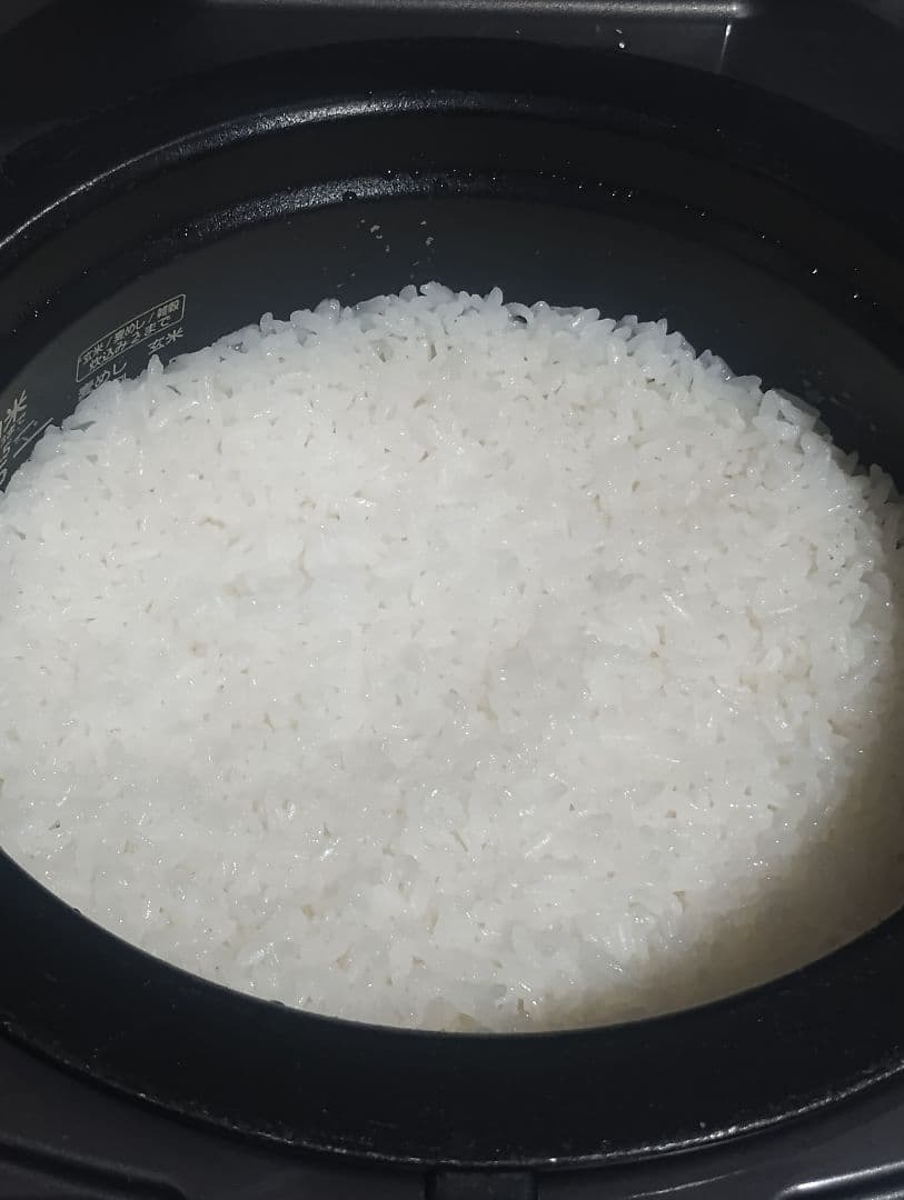 TIGER 圧力IH炊飯器 ご泡火炊き JPL-H100 炊飯器 炊飯ジャー