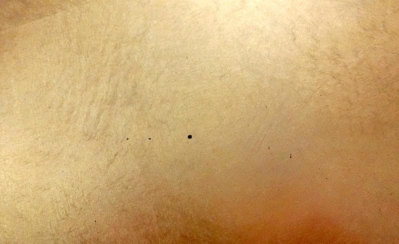 希少★金箔 銀箔　芙蓉盆　飾り皿　漆器 大皿　正雲作 料亭 38cm 2枚セット