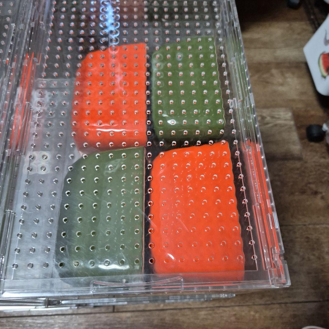 中古レプタイルボックス6個セット