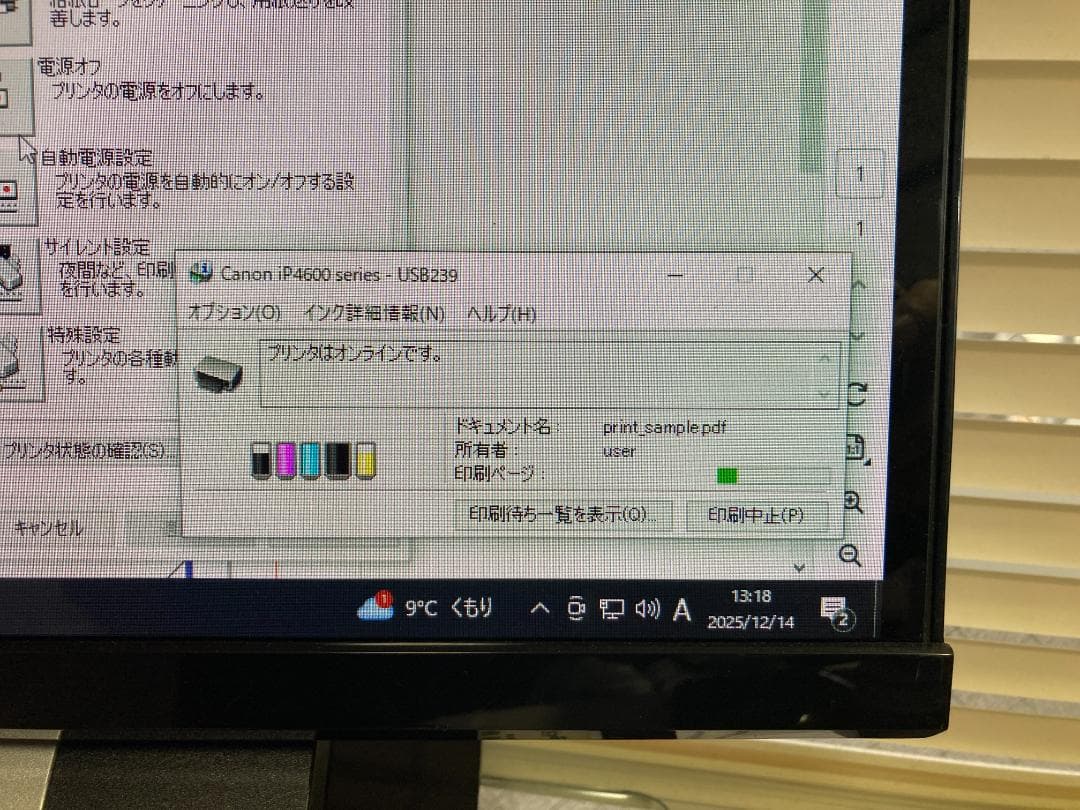 CANON キャノン A4 インクジェット プリンター iP4600 純正インク