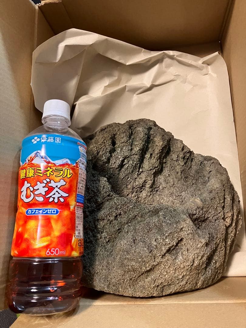 山渓鉢　希少　ガーデニング　苔　山野草　盆栽　多肉植物　テラリウム　溶岩石