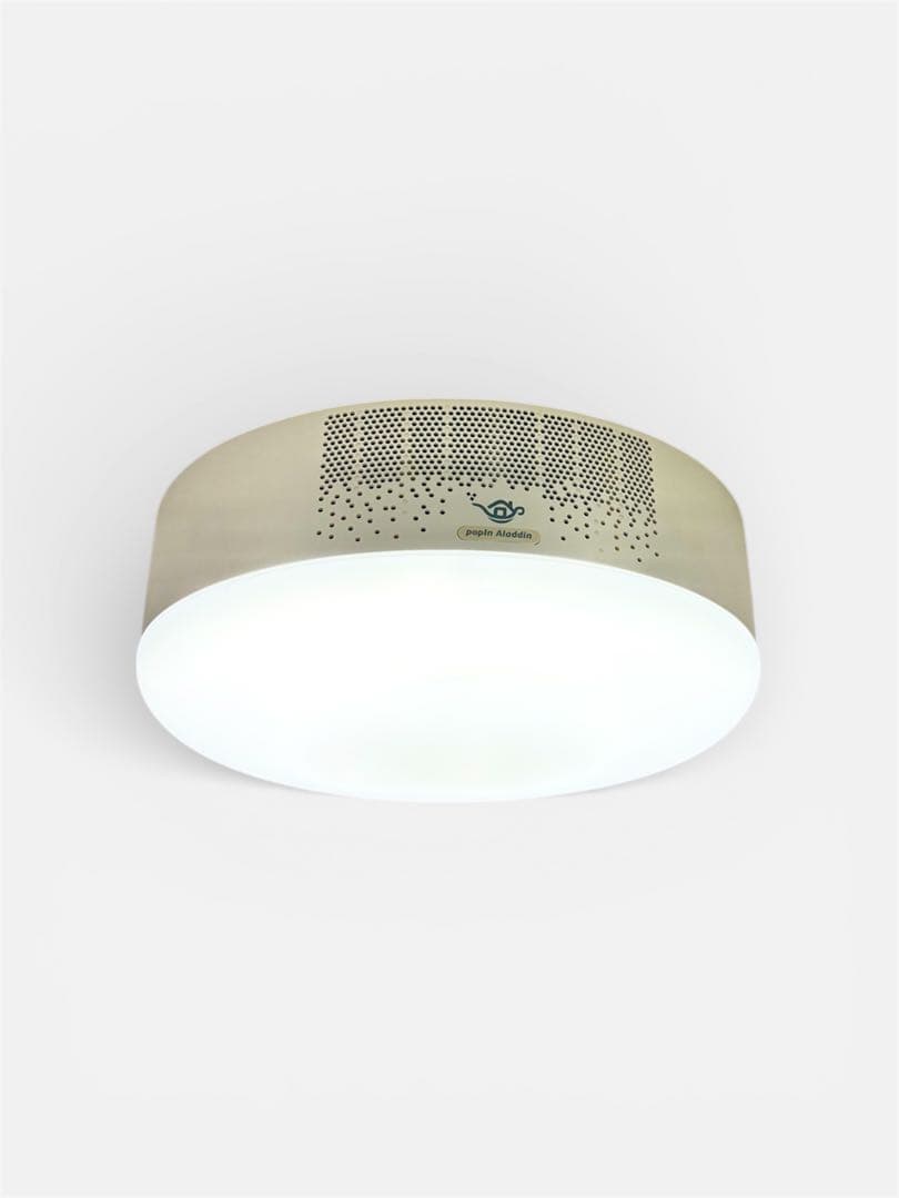 popIn Aladdin 初期