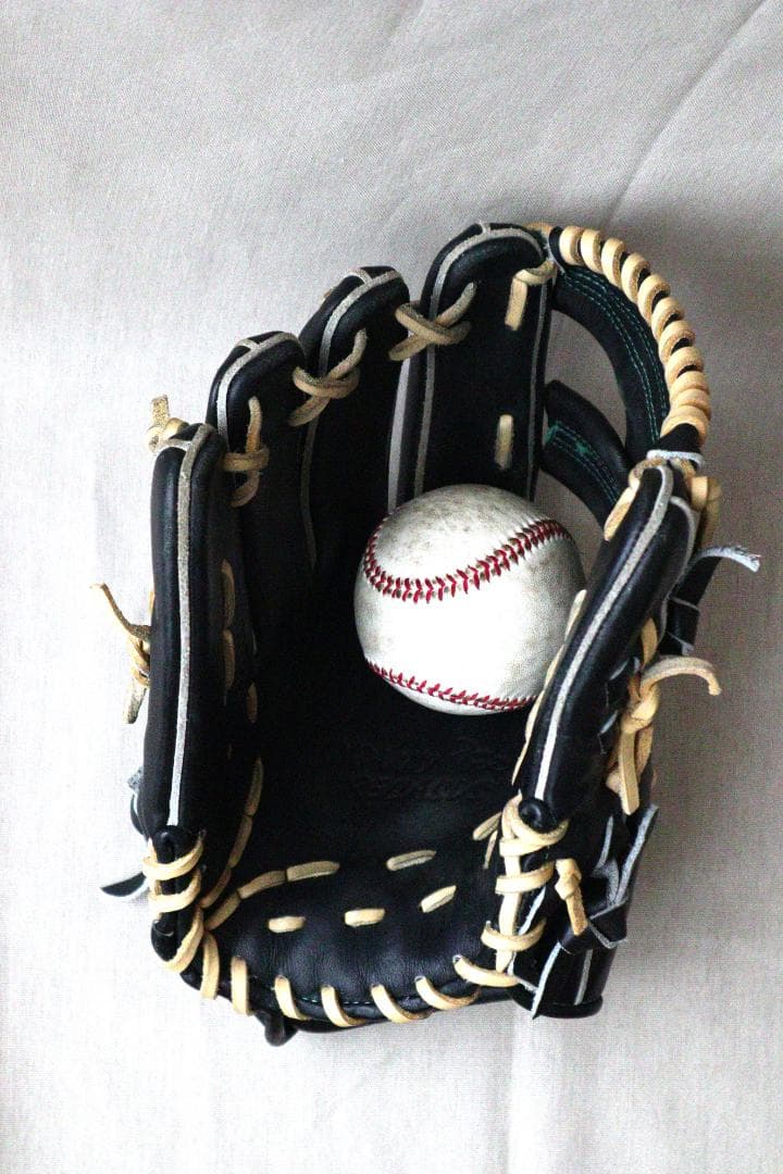 ワールドペガサス 硬式軟式兼用 オールラウンド グラブ グランドペガサス