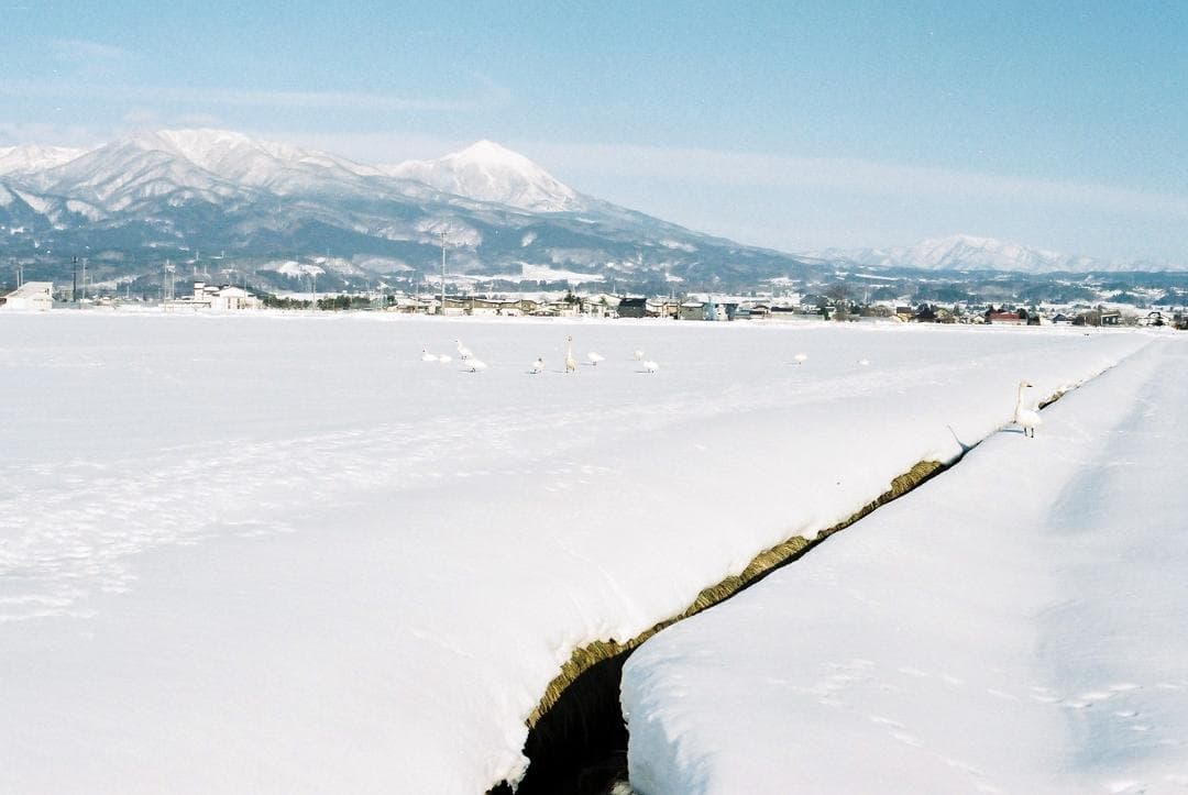 【実写確認整備品】アサヒペンタックスSLB/K・スーパータクマー35mmf3.5