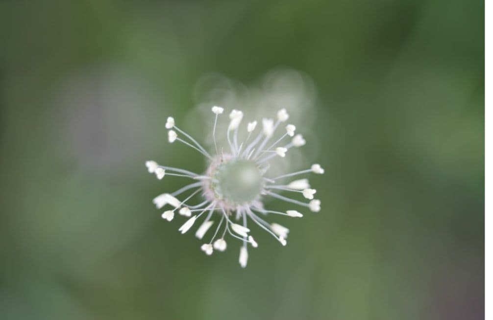 ☆これで出品取り止めます☆Carl Zeiss Tessar 50mm f2.8