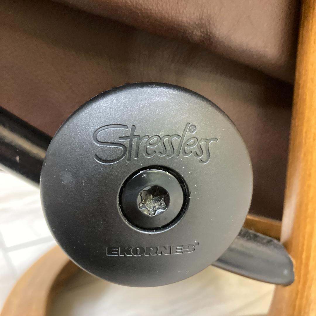 エコーネス 　ストレスレスチェア　 リクライニングチェア 　ソファ　 本革