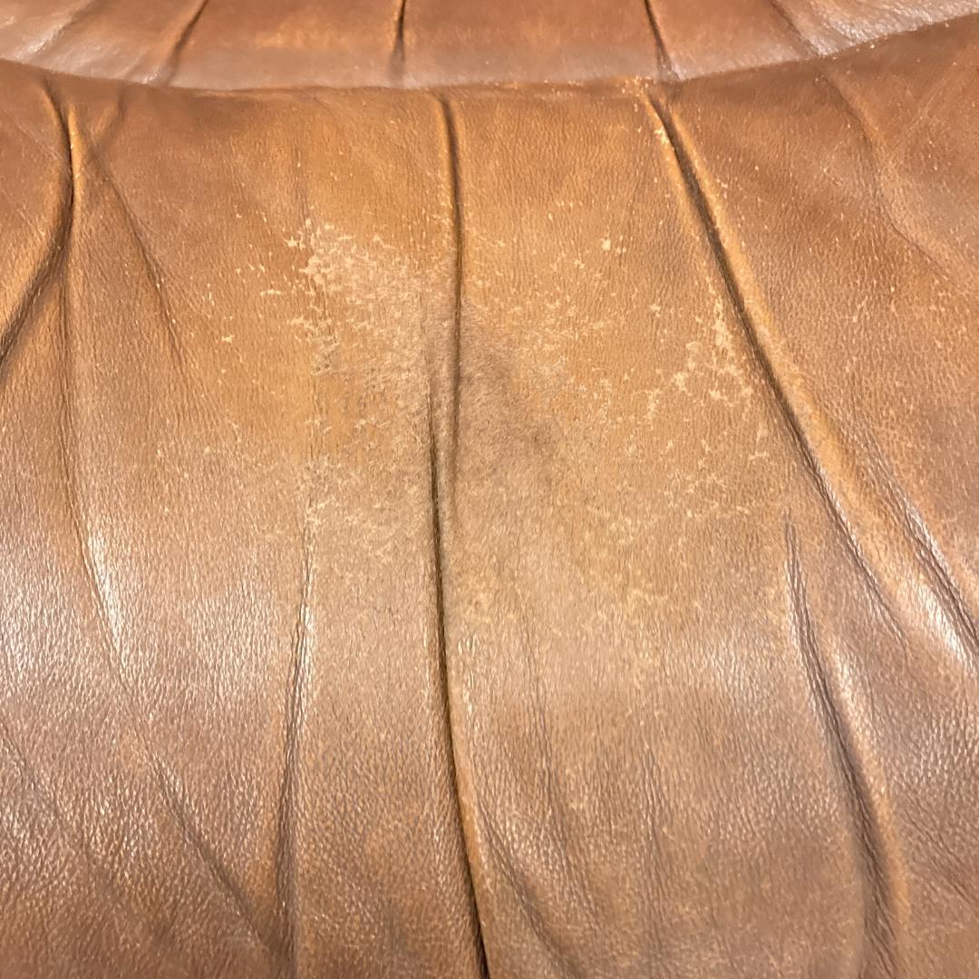 エコーネス 　ストレスレスチェア　 リクライニングチェア 　ソファ　 本革