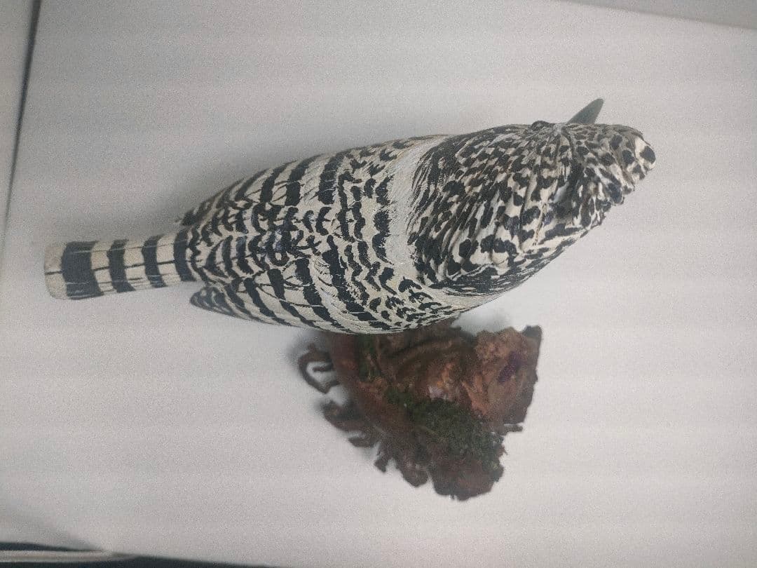 ヤマセミ　バードカービング