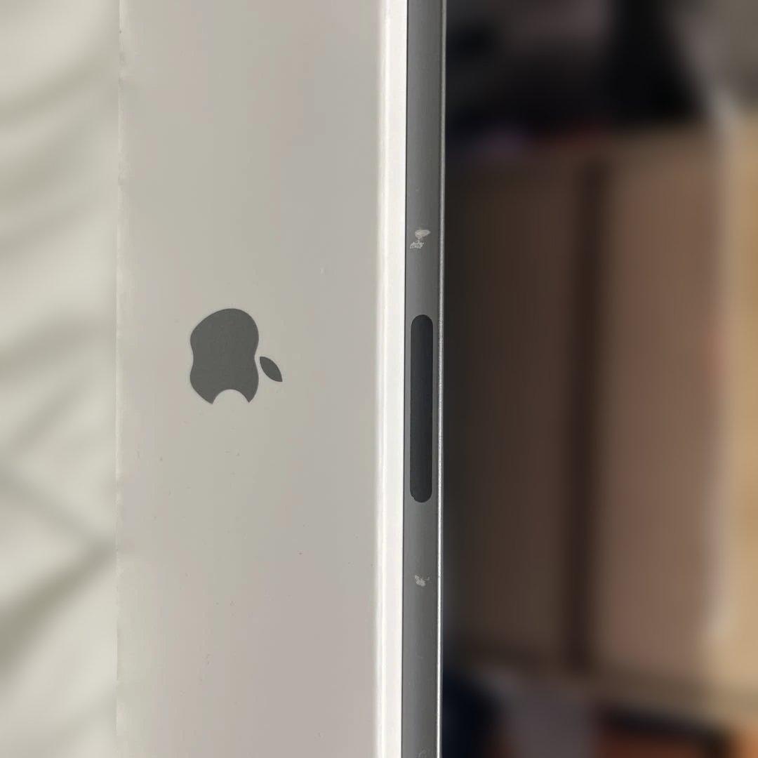 iPad Pro 12.9インチ　第3世代　256GB セルラーモデル