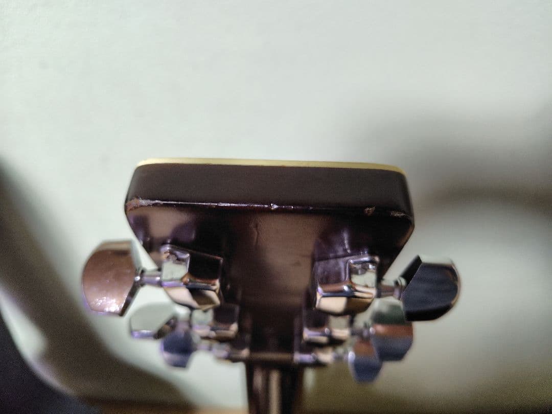 寺田楽器　ダブルホールギター　WSF30