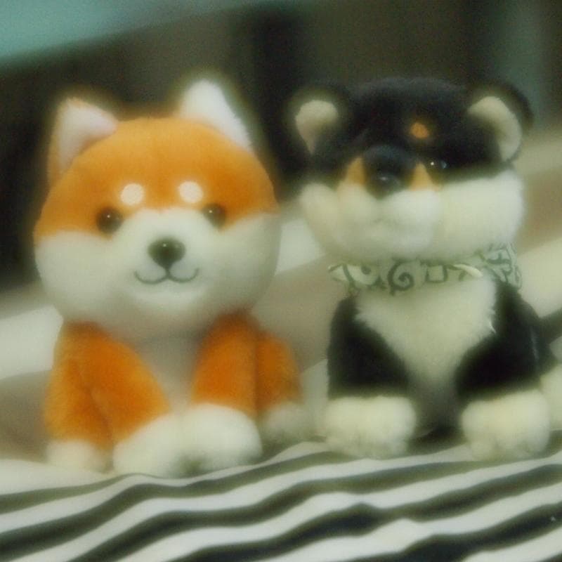 ☆美品☆Lensbaby Velvet 56mm f1.6 ☆m4/3☆