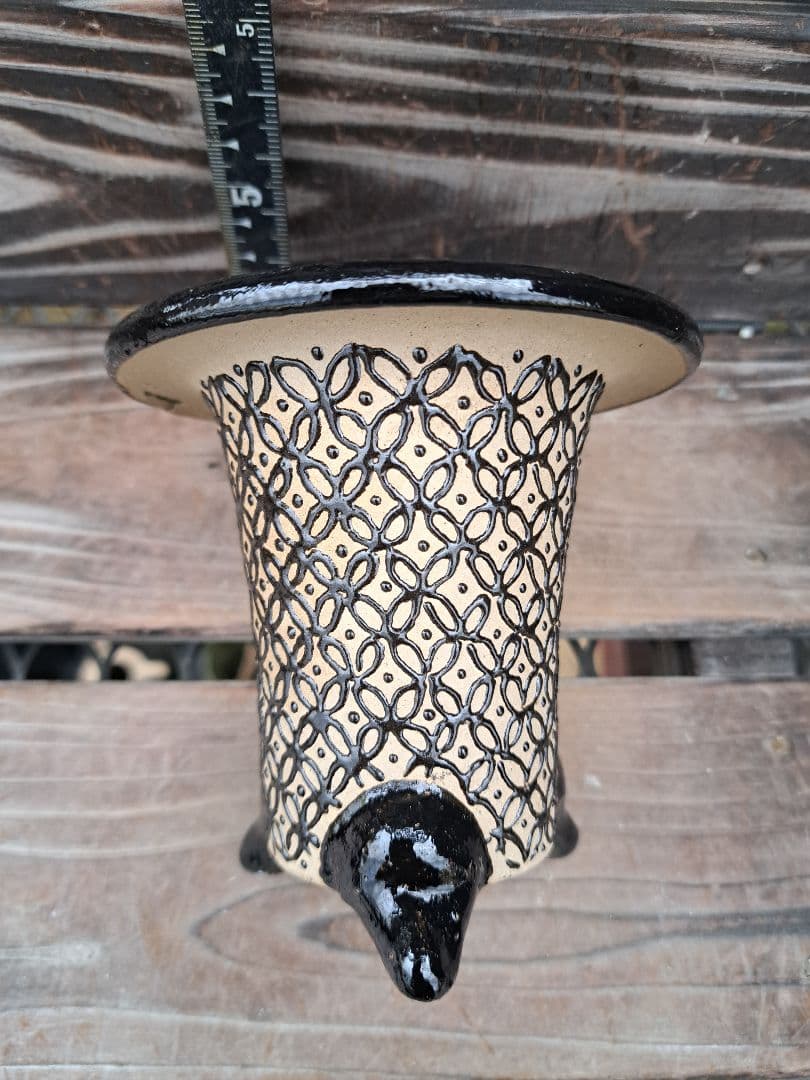 錦鉢　万年青　オモト　長生蘭　風蘭　古典植物　植木　観葉植物　インテリア　園芸