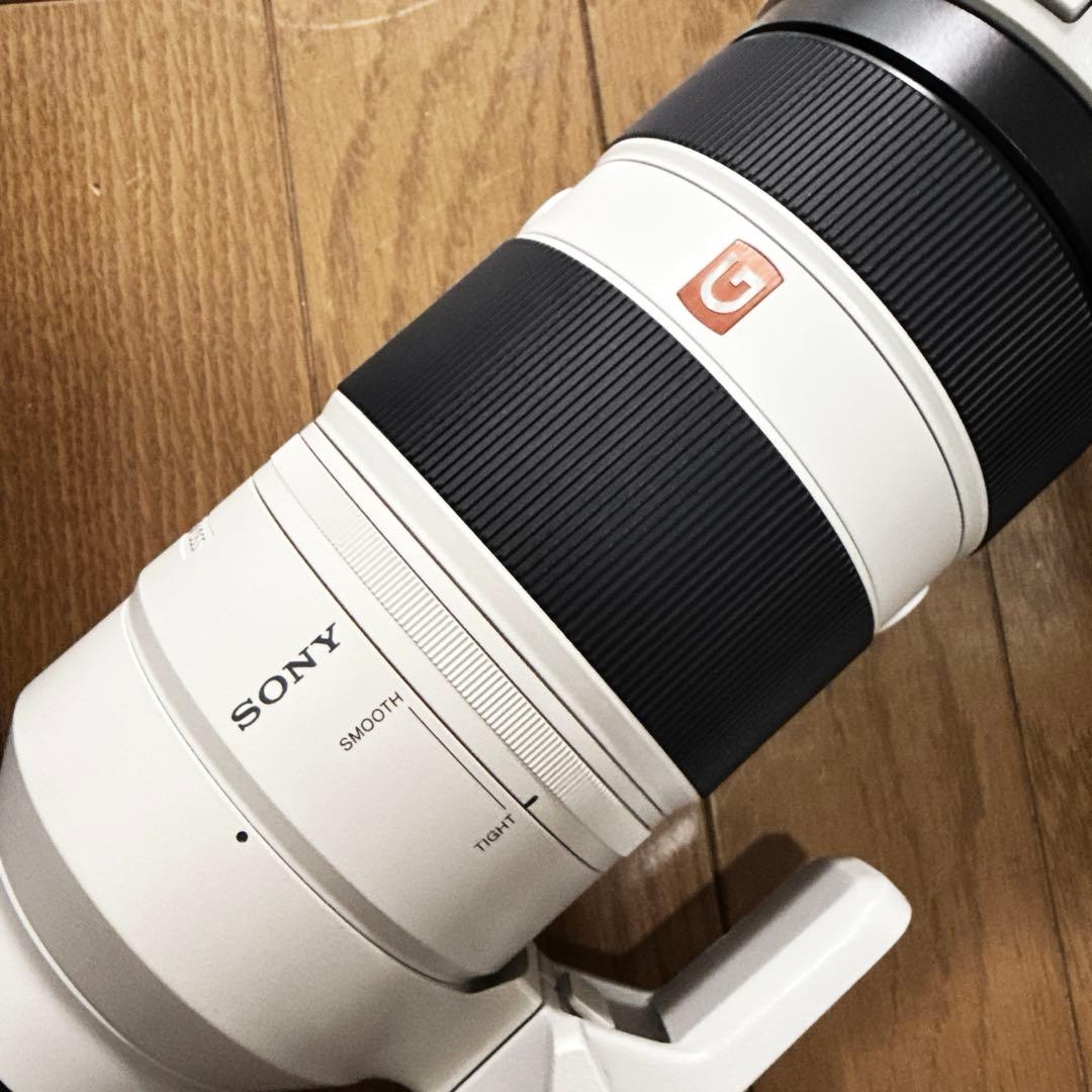 美品Sony EF100-400mm F4.5-5.6 GM