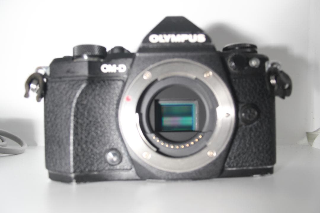 OLYMPUS OM-D E-M5 MARKⅡ