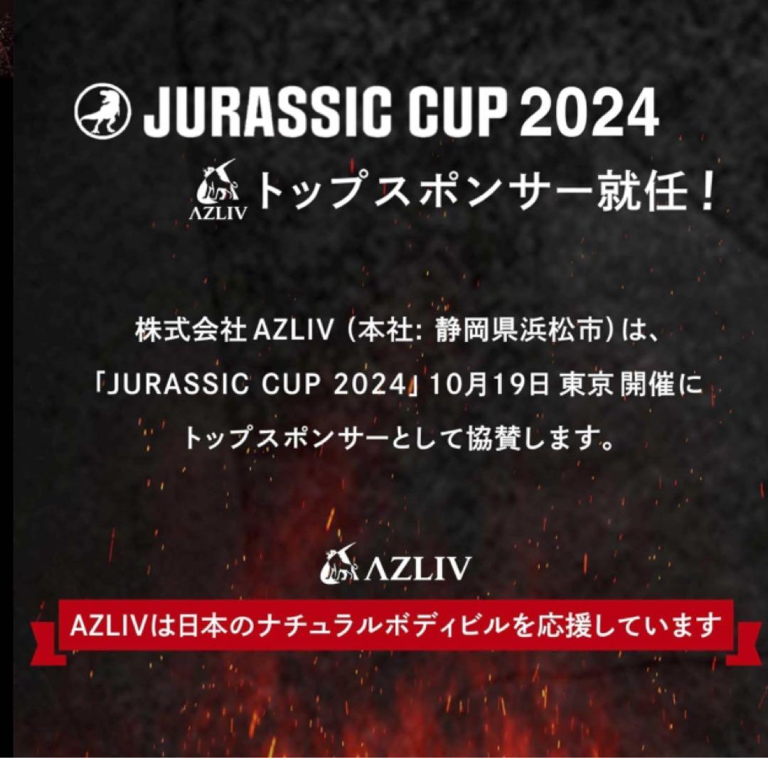 AZLIV レバーベルト LEX Standard 厚さ10mm