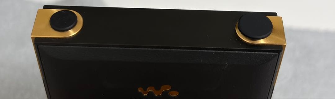 SONY NW-ZX707 ウォークマン ハイレゾ対応　microSD ケース