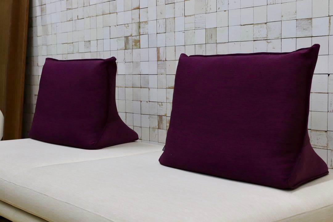 GMHK693○ligne roset / リーンロゼ PRADO プラド 2人