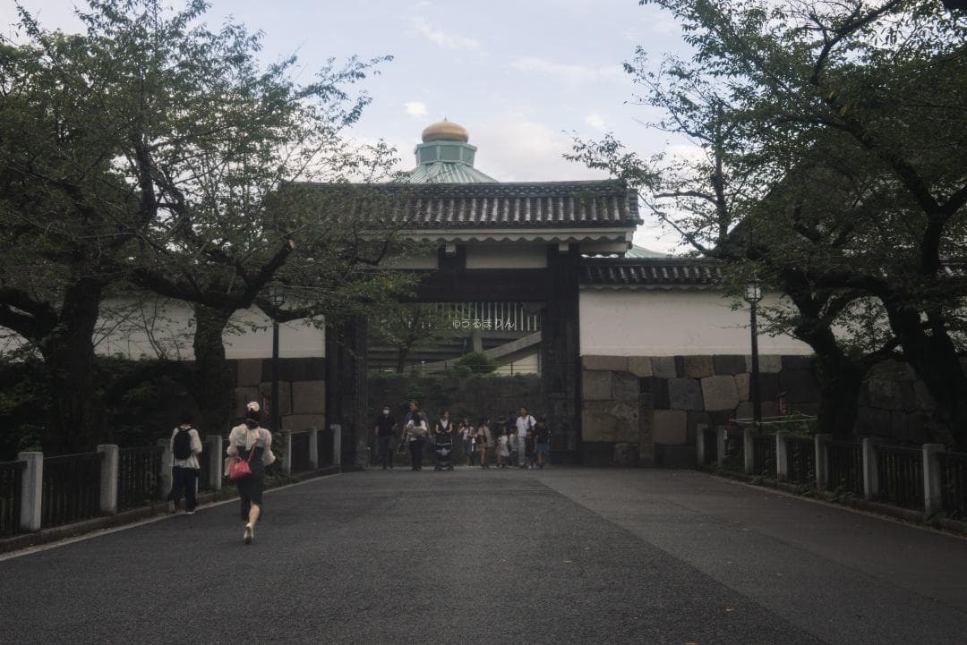 希少ニッケル癖玉！Leica Nickel Summar 5cm オールドレンズ