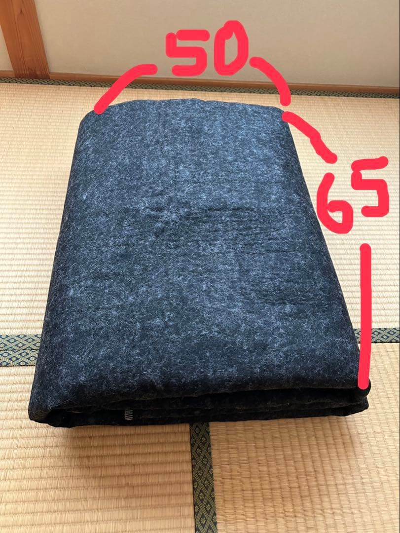 Panasonic DC-3NK 電気カーペットヒーター 本体のみ 2022年製