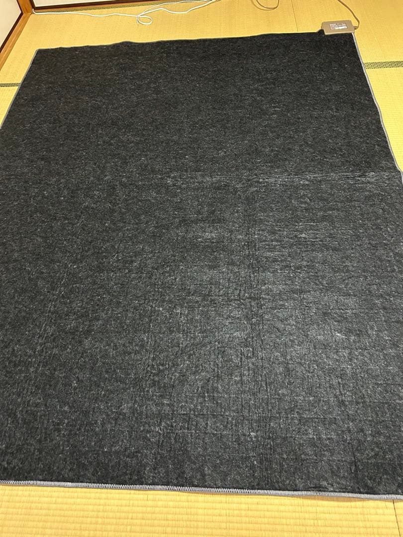 Panasonic DC-3NK 電気カーペットヒーター 本体のみ 2022年製