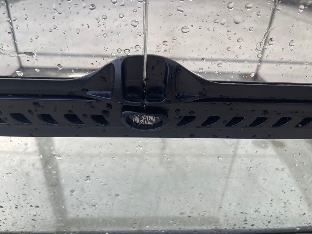 飼育ゲージ　バスキングライト