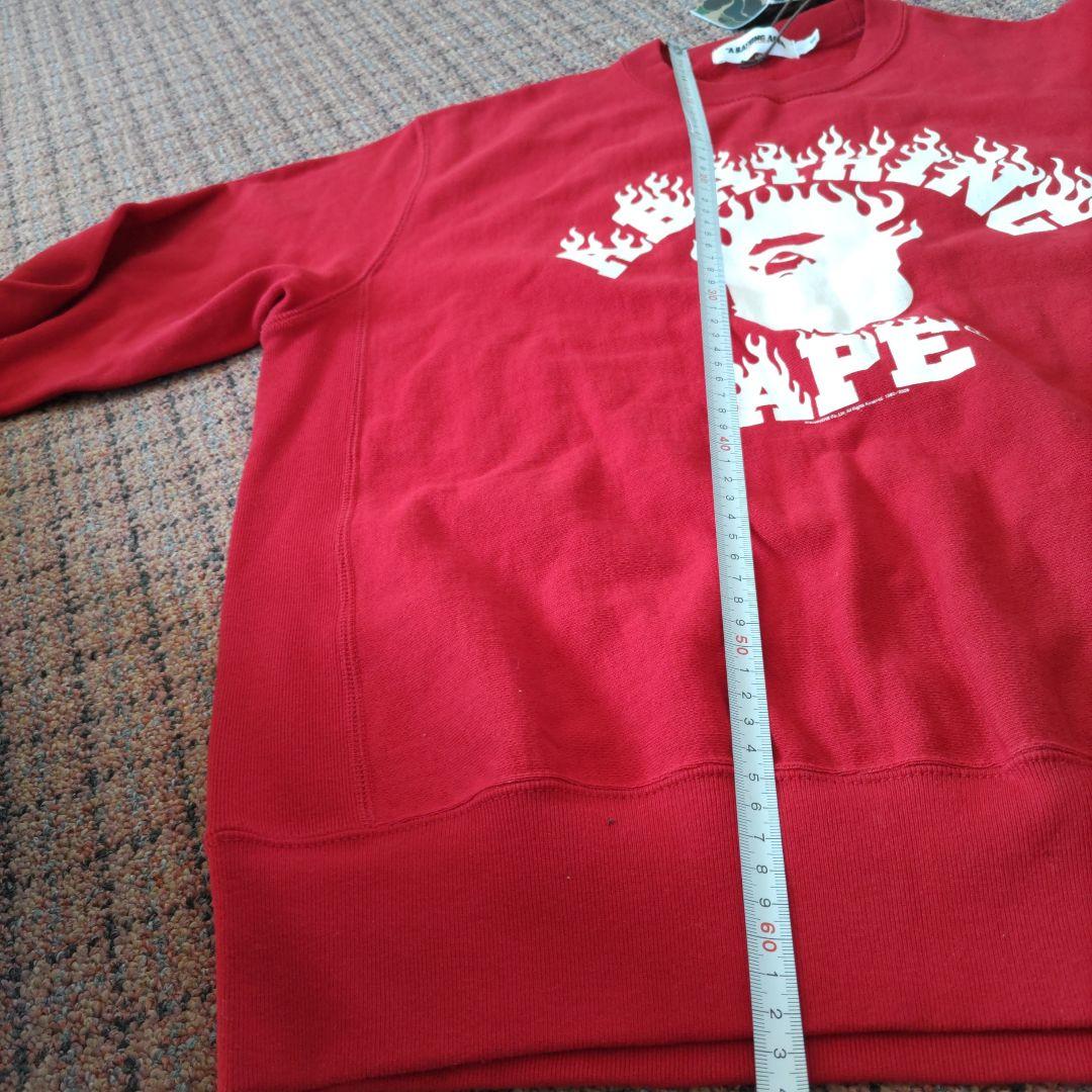 ア・ベイシング・エイプトレーナー