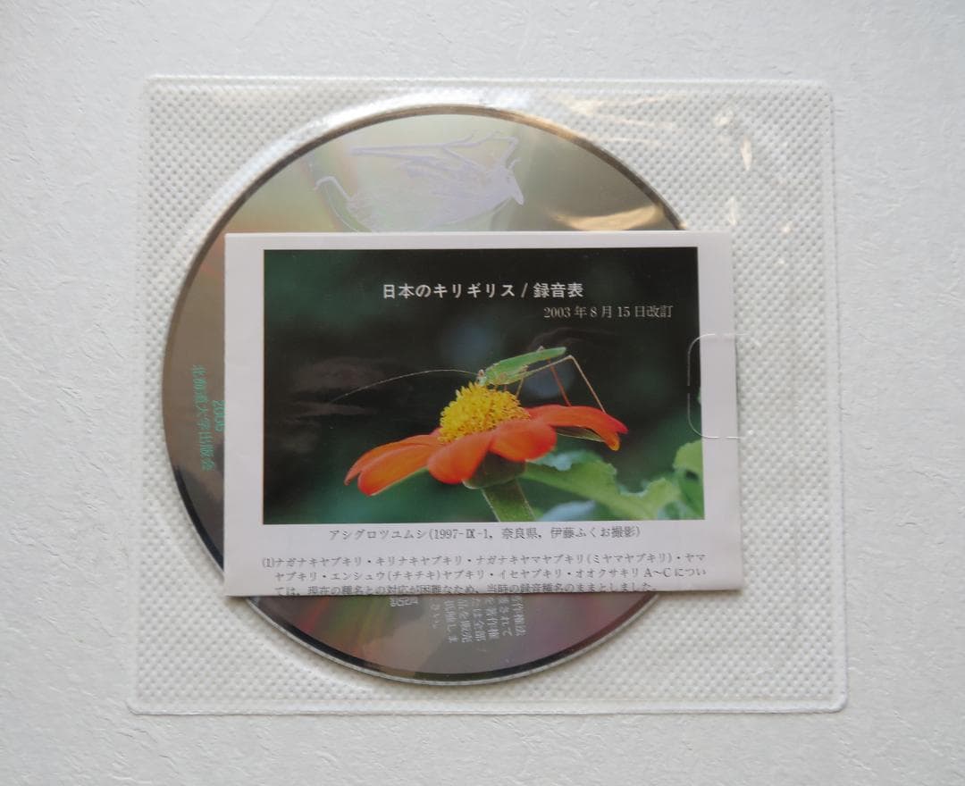 バッタ・コオロギ・キリギリス大図鑑