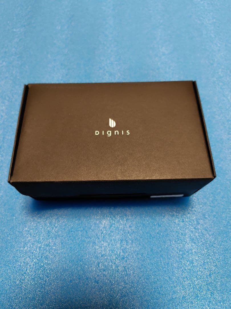 Astell&Kern AK380 AMP用Dignis本革ケース 新品未使用