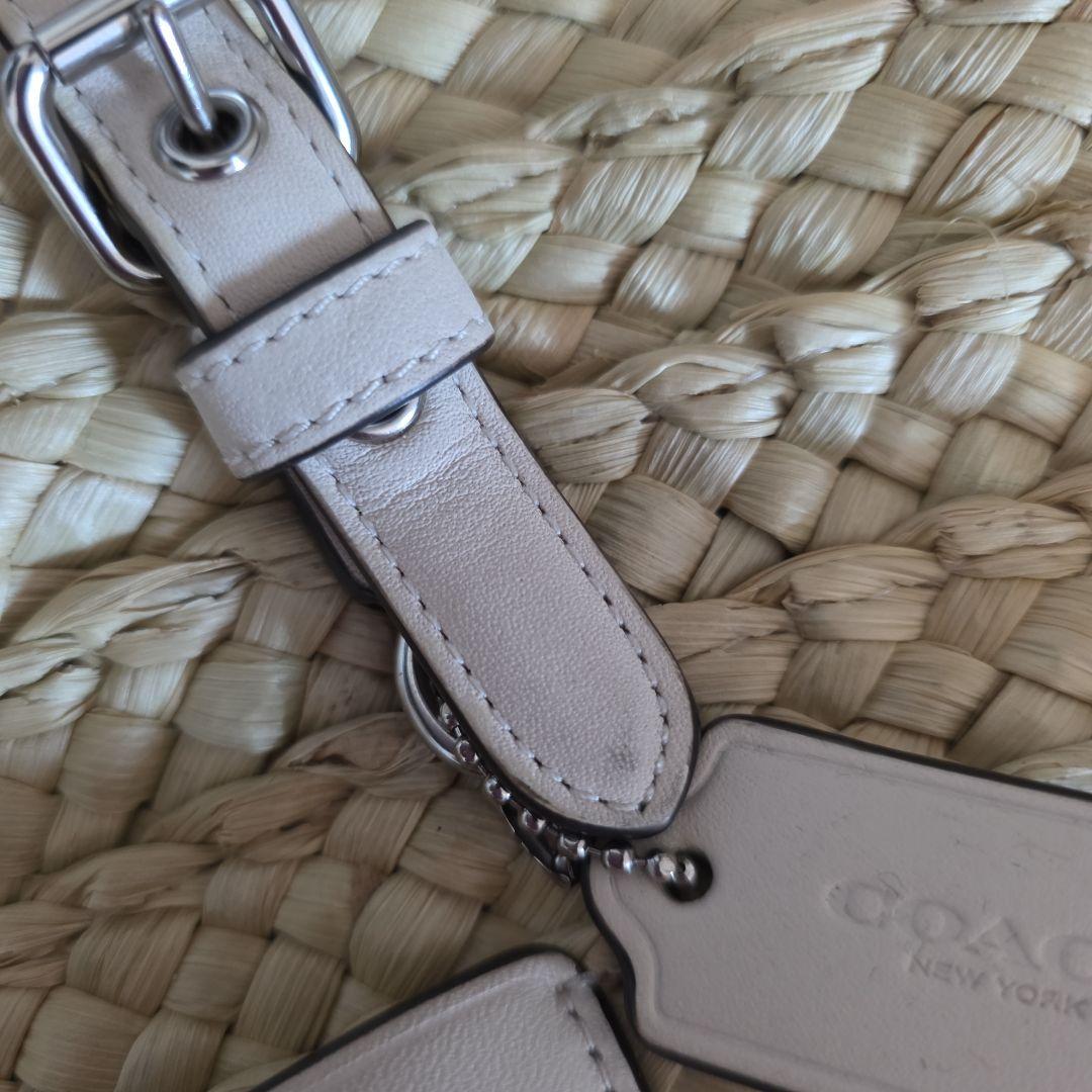 COACH ストロー 2way クロスボディバッグ C519