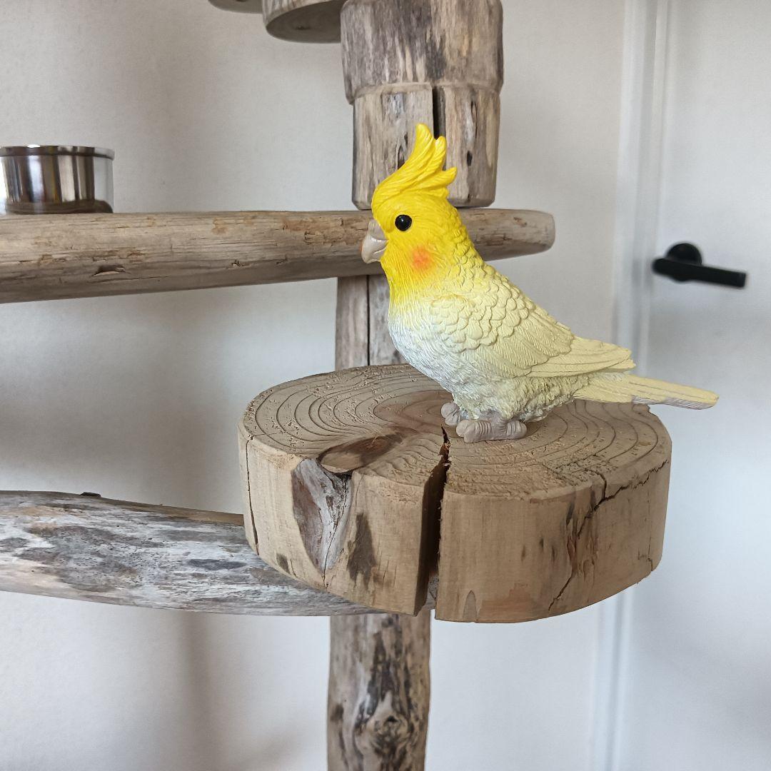 バードアスレチックジム大型 ① 天然木 自然木 流木 インコ おもちゃ