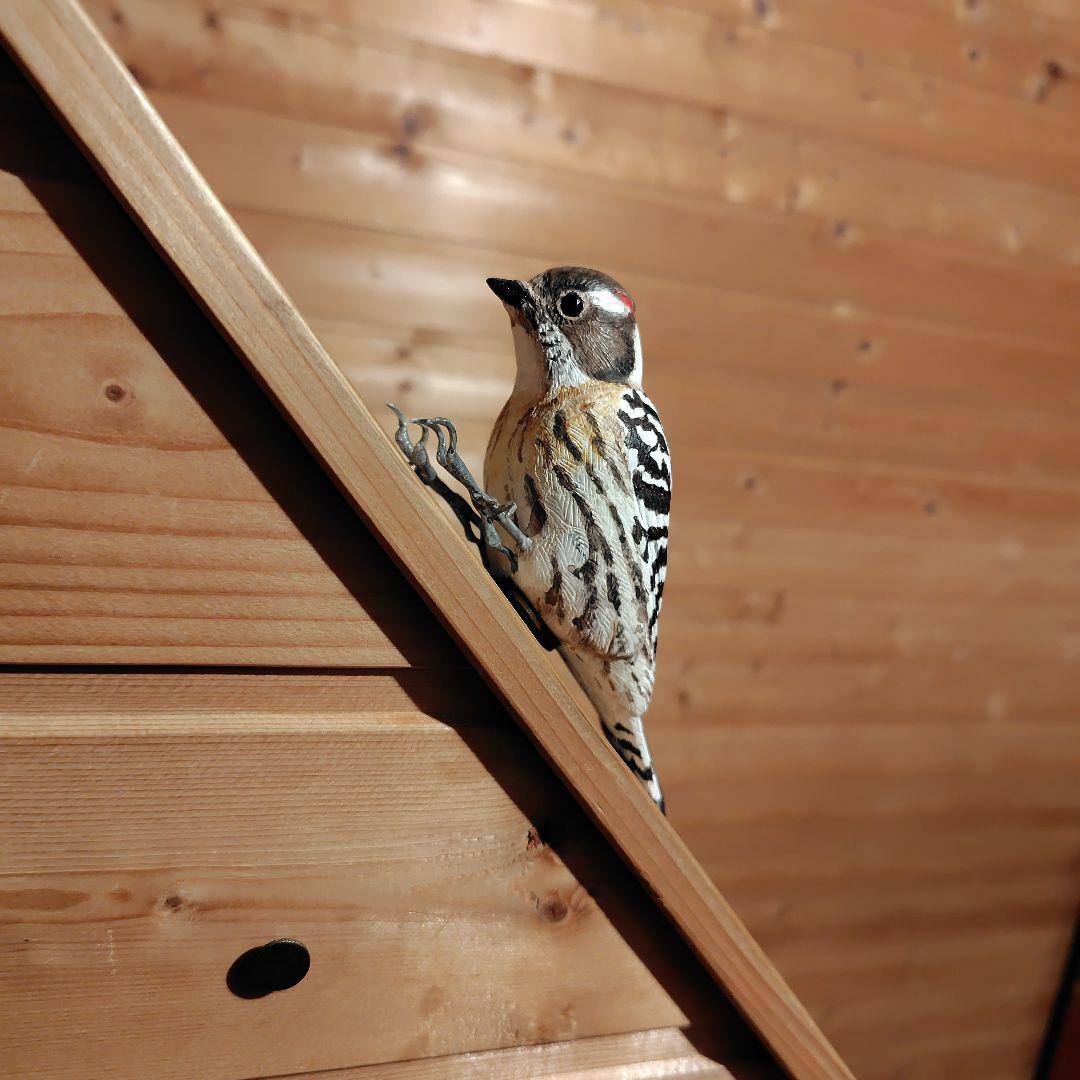 バードカービング コゲラ(キツツキ) マグネット 野鳥 木彫り