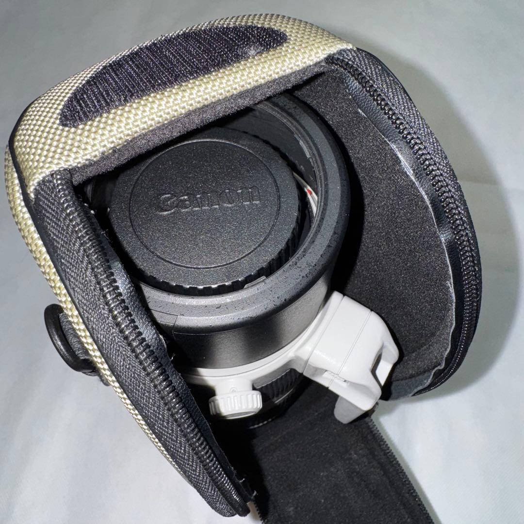 Canon 100-400 F4.5-5.6 L IS II USM 望遠レンズ