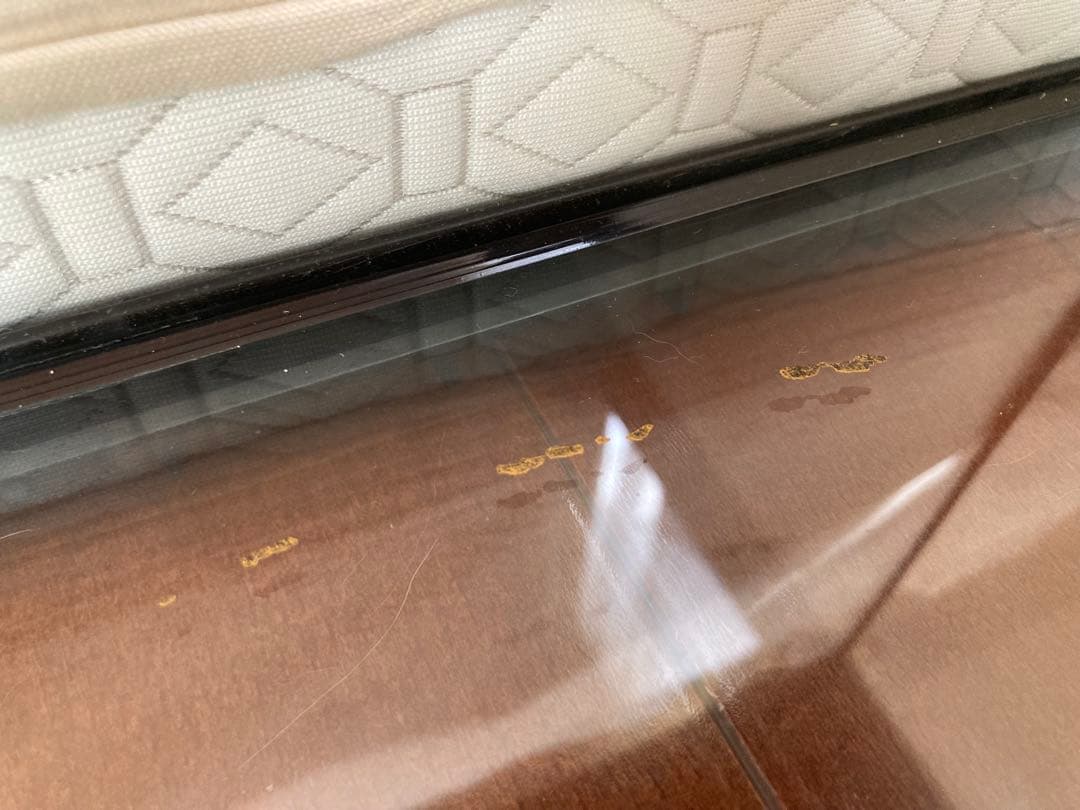 9/26㈮まで GEX EXOTERRA グラステラリウム 4530