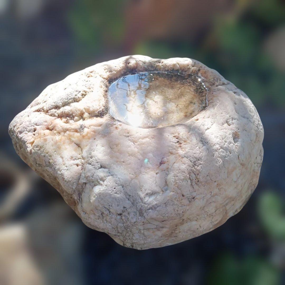 蹲　手水鉢　庭石　灯籠　臼　ガーデニング　園庭　オブジェ