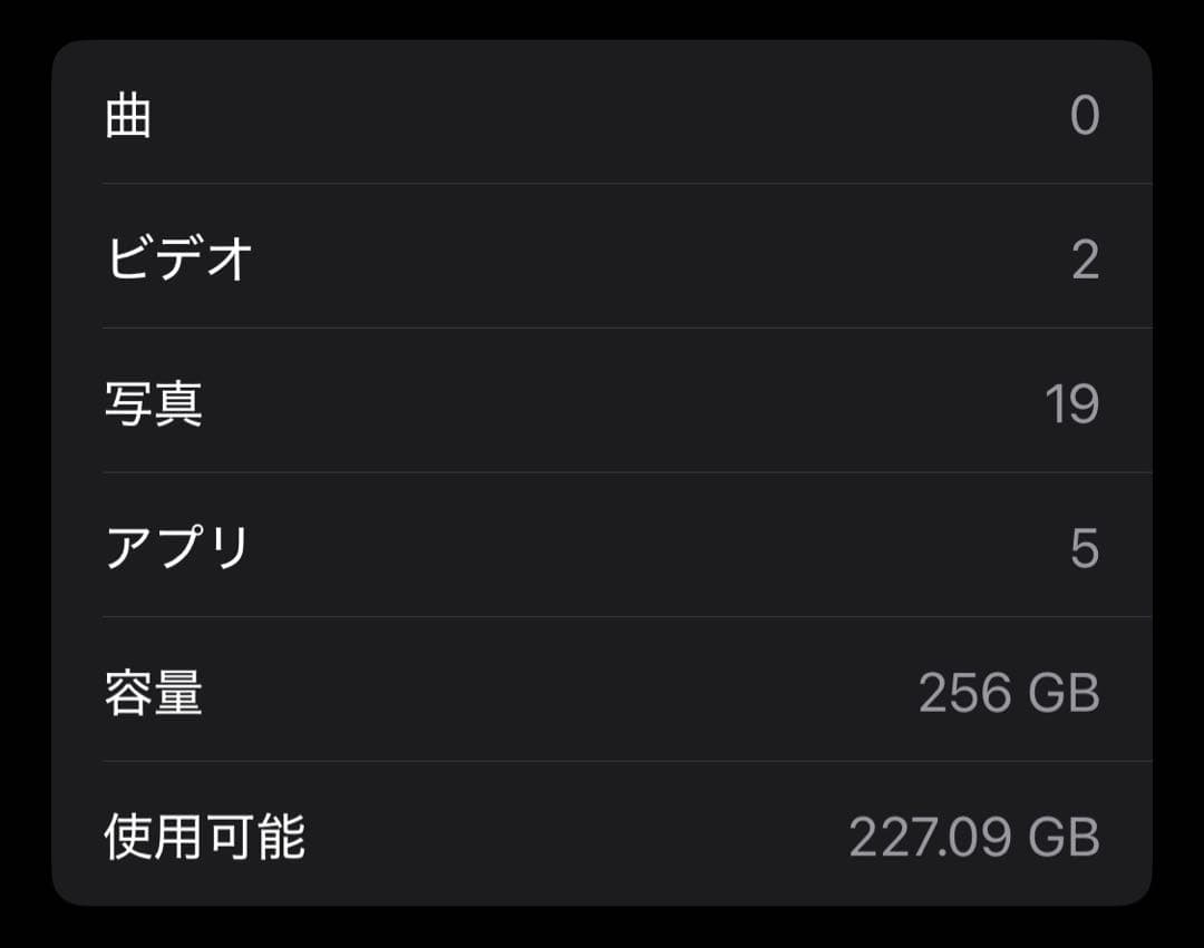 iPhone 11 Pro Space Gray 256 GB SIMフリー