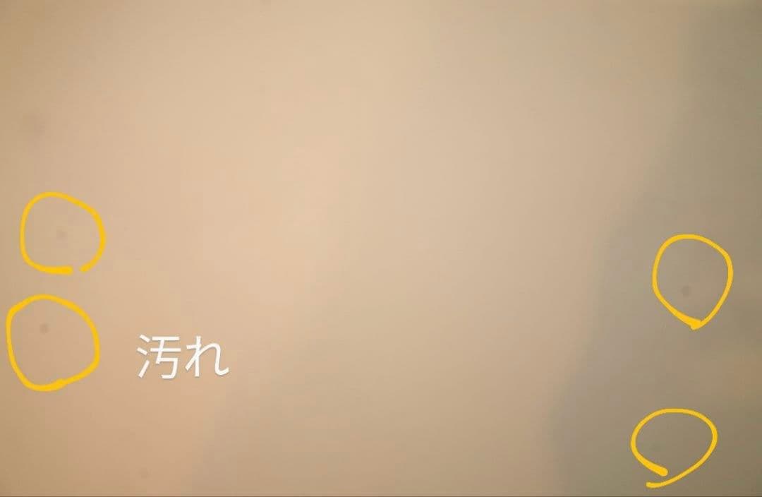 動作良好 訳あり RICOH GR APS-C初代 2013