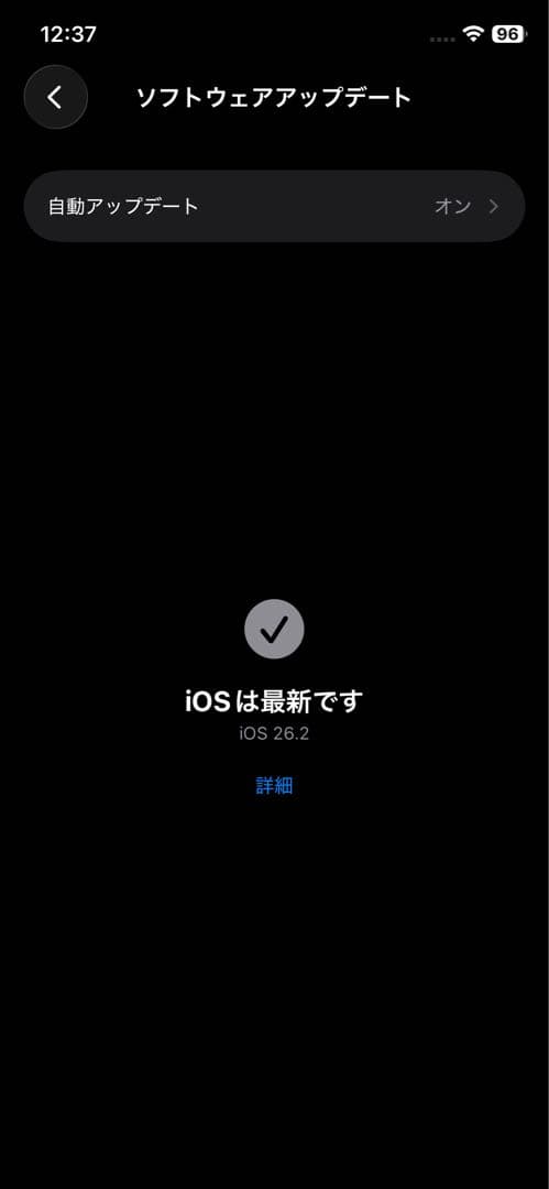 iPhone 11 Pro 64GB シルバー 付属品完備 純正ケース付