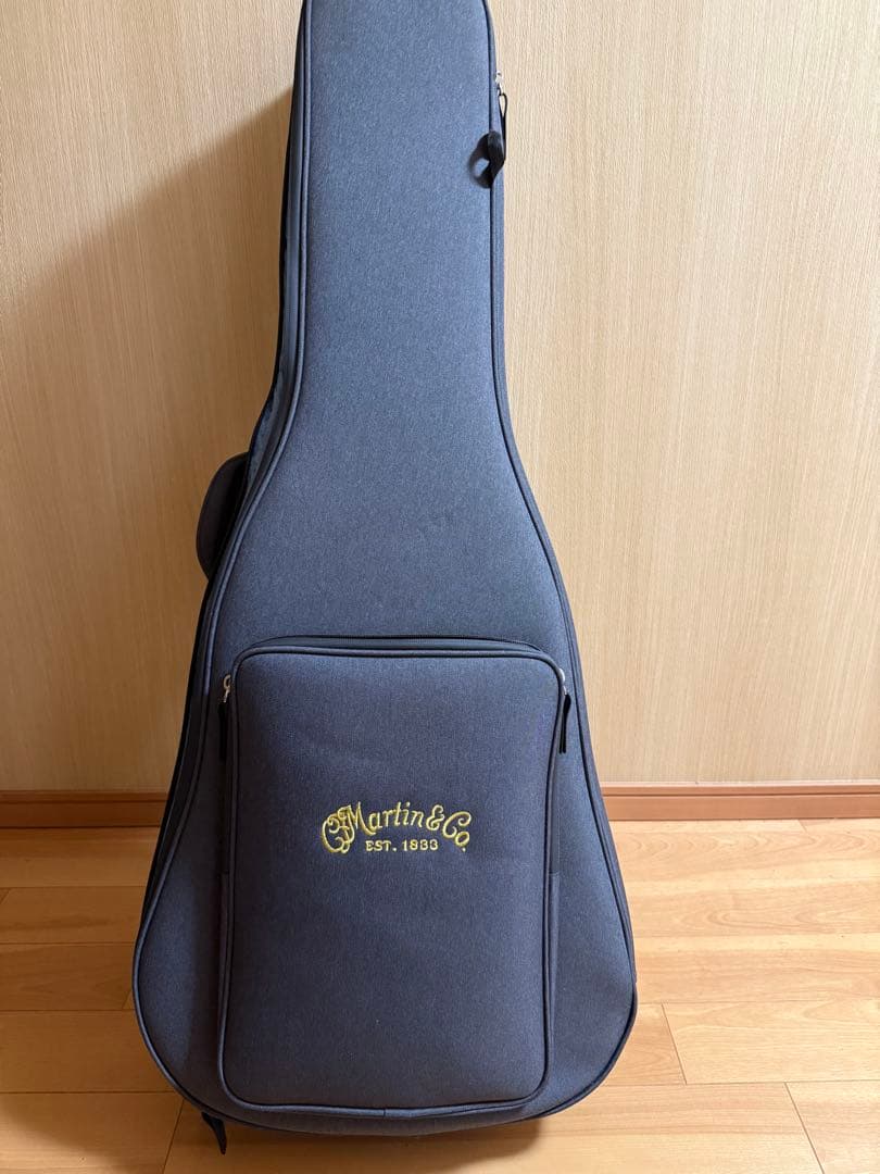 ギター Martin & co. GPC-16E-01