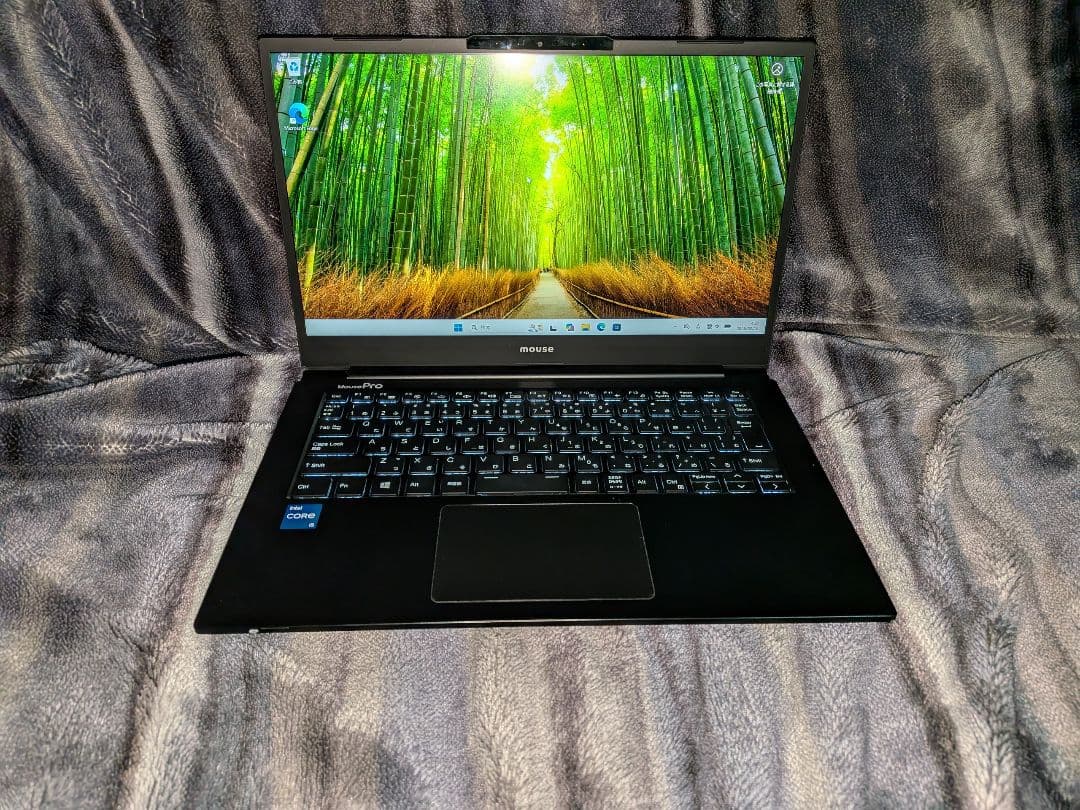 【16日】Mouse Pro MPro-NB420H【第11世代i5/16GB】