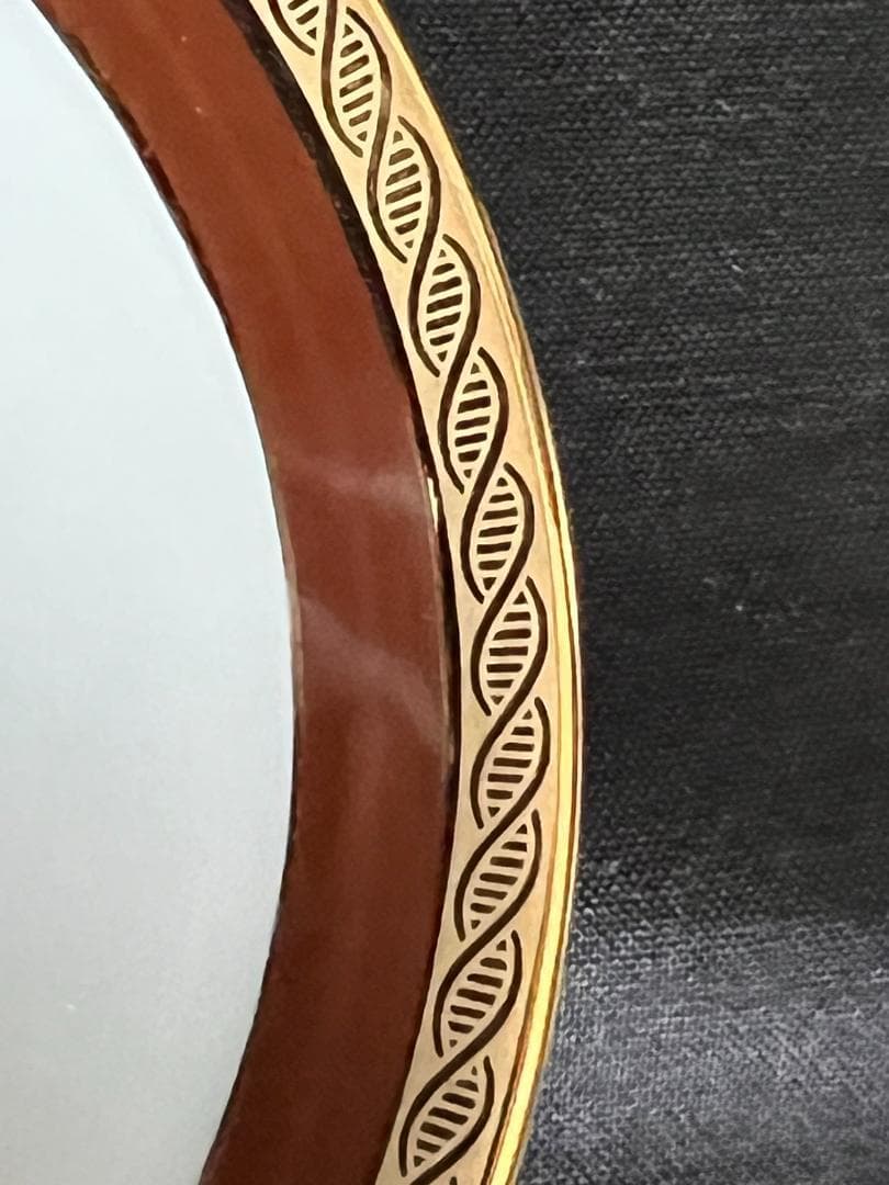 リチャードジノリ　パレルモブラウン　コーヒーセット