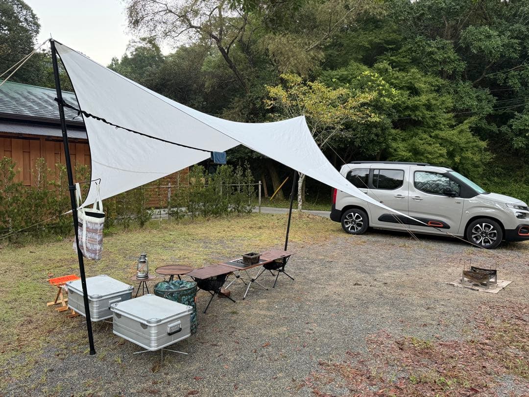 Telo looksveil ルックス ベール