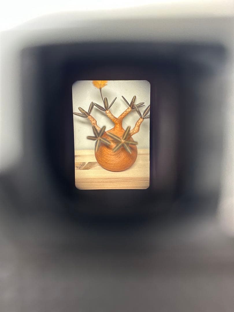 Olympus PEN F ハーフフィルムカメラ【難あり】