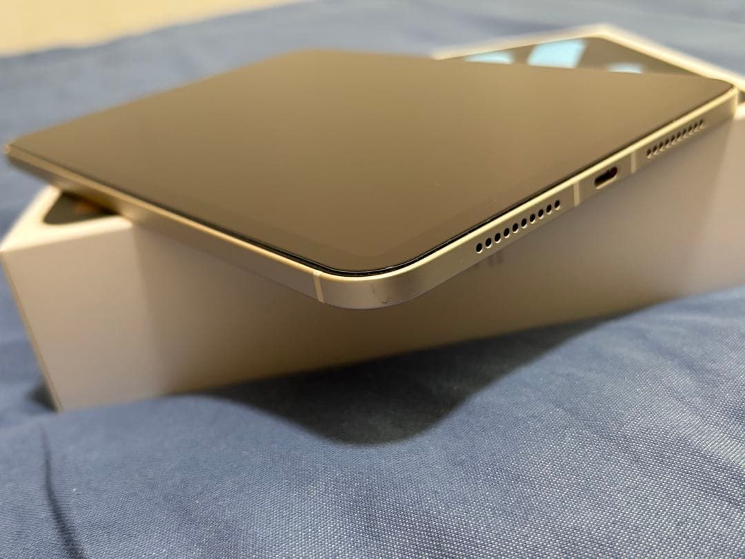 美品　iPad mini(第6世代) Cellular 256GB スターライト