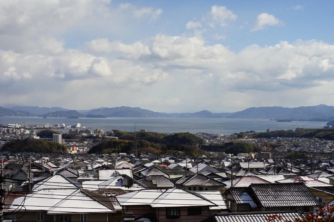 Leica SUMMICRON-R 50mm F2 １カム 純正フード付