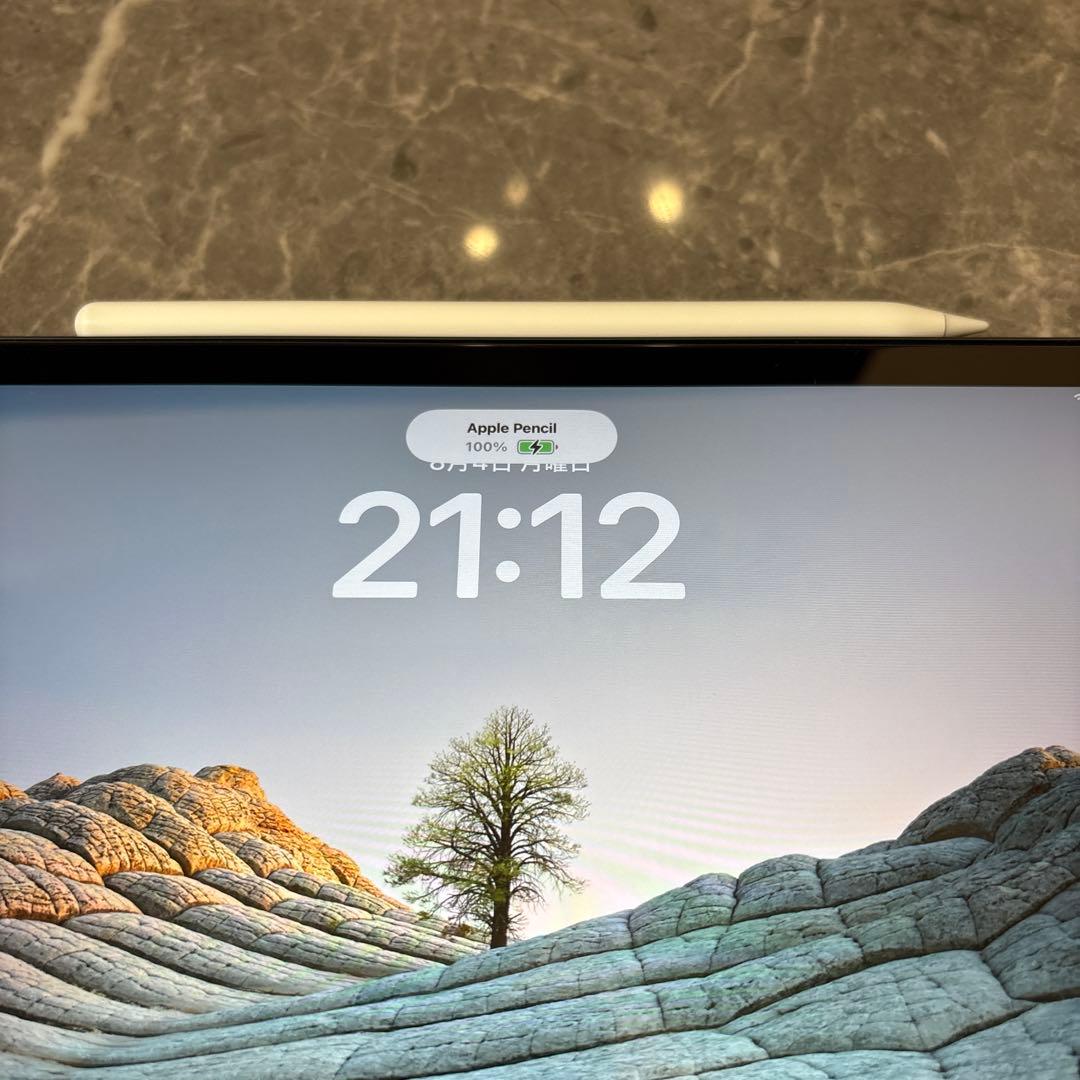 10.9インチiPad Air(第4世代) + Apple Pencil