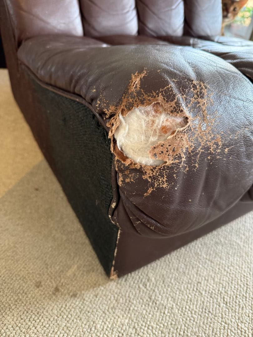 モビリア　ヴィンテージ　1人掛けソファ　椅子　スネークソファー風　desede