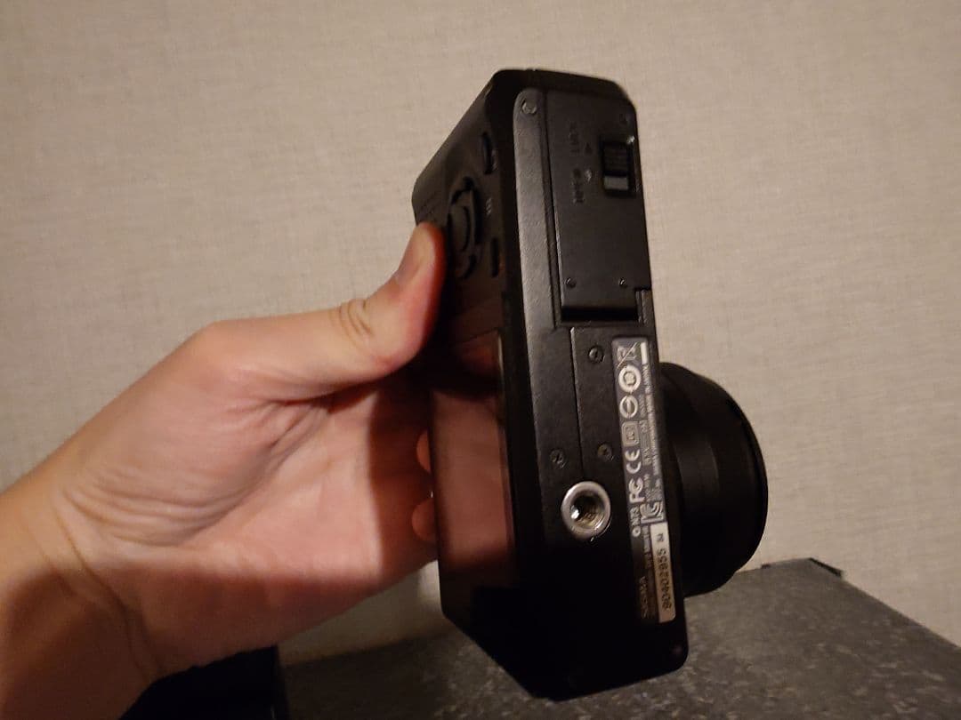 (作例あり)SIGMA DP2 Merrill ややセンサー汚れあり